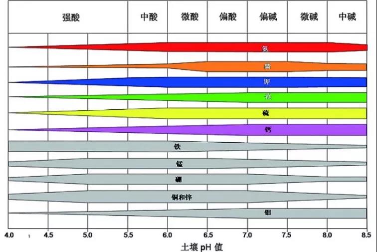 土壤PH速測儀，快速測PH